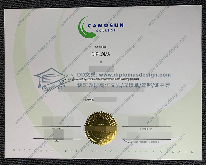 卡莫森学院文凭