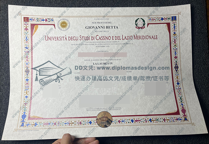 卡西诺-南拉齐奥大学文凭