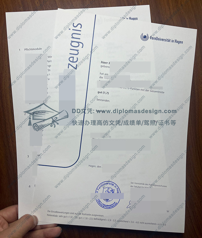 哈根远程大学成绩单