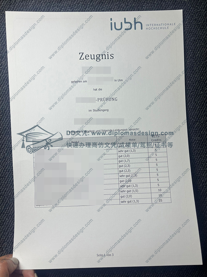 巴特洪内夫国际应用技术大学成绩单