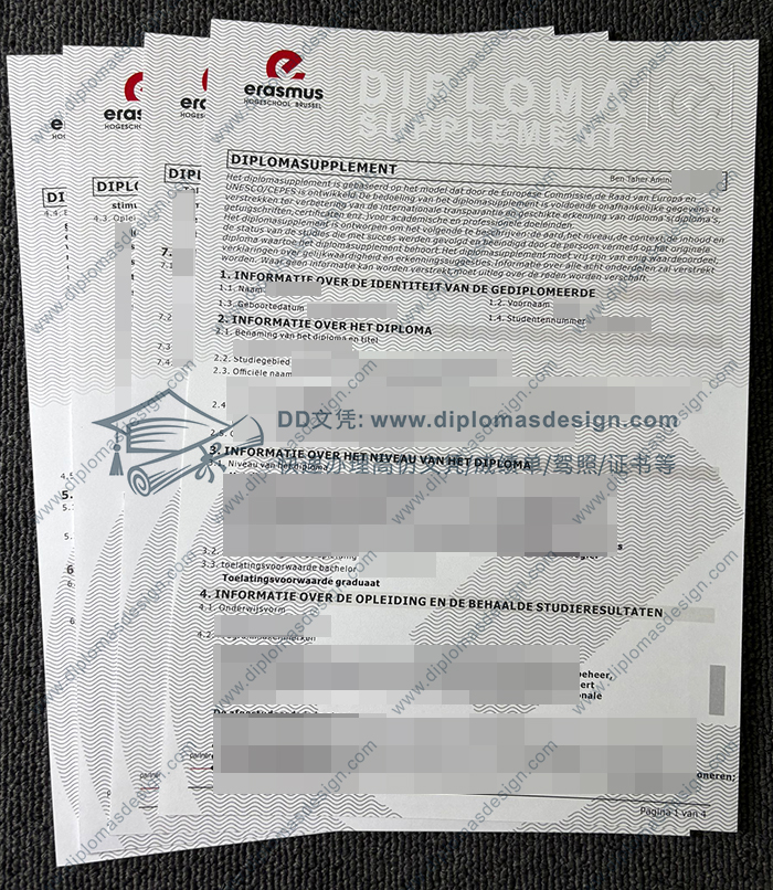 布鲁塞尔伊拉斯谟大学学院成绩单