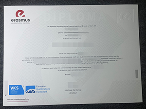 布鲁塞尔伊拉斯谟大学学院毕业证-1