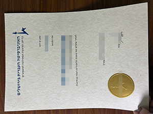 希伯来大学毕业证-1