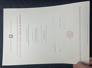 帕多瓦大学毕业证-1