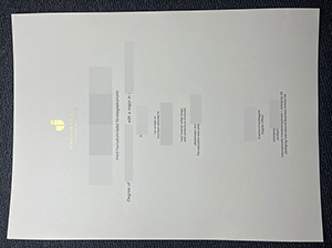 延雪平大学毕业证-1