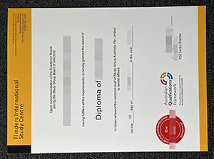 弗林德斯大学国际学习中心文凭-1