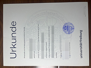 弗赖堡大学文凭-1