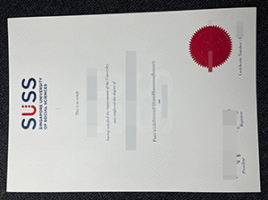 新加坡社科大学文凭-1