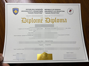 普里什蒂纳大学文凭-1