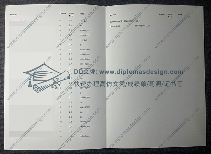 杜伊斯堡-埃森大学成绩单