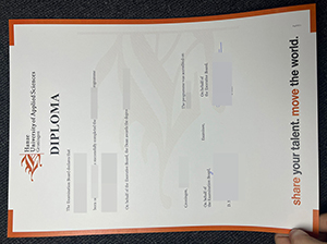 格罗宁根汉斯大学文凭-1