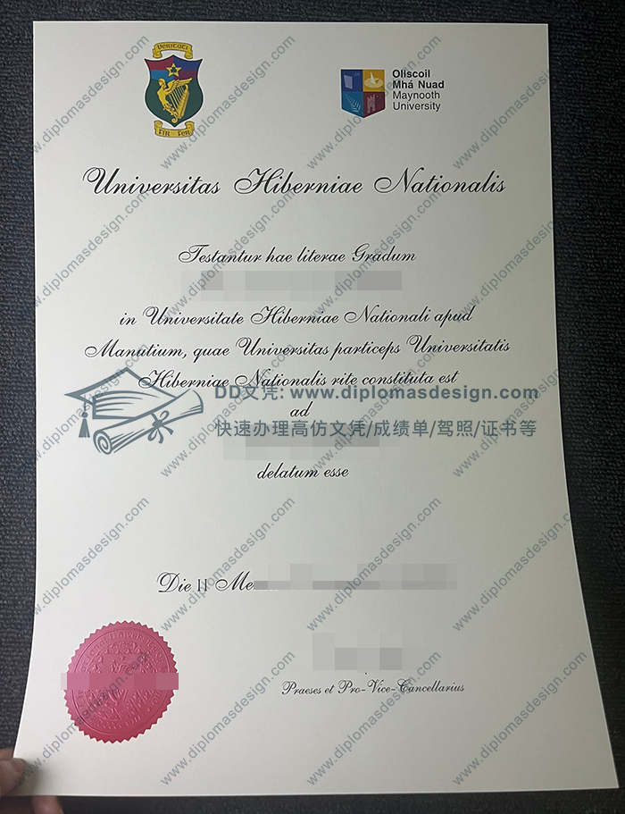 梅努斯大学毕业证