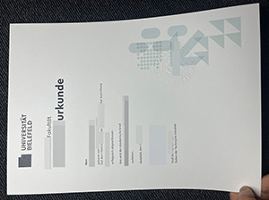 比勒费尔德大学文凭-1