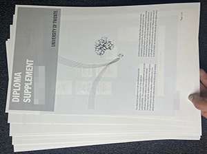 特文特大学成绩单-1