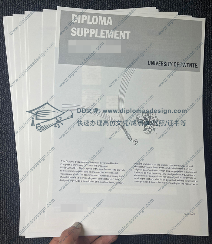 特文特大学成绩单