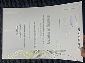 特文特大学文凭-1