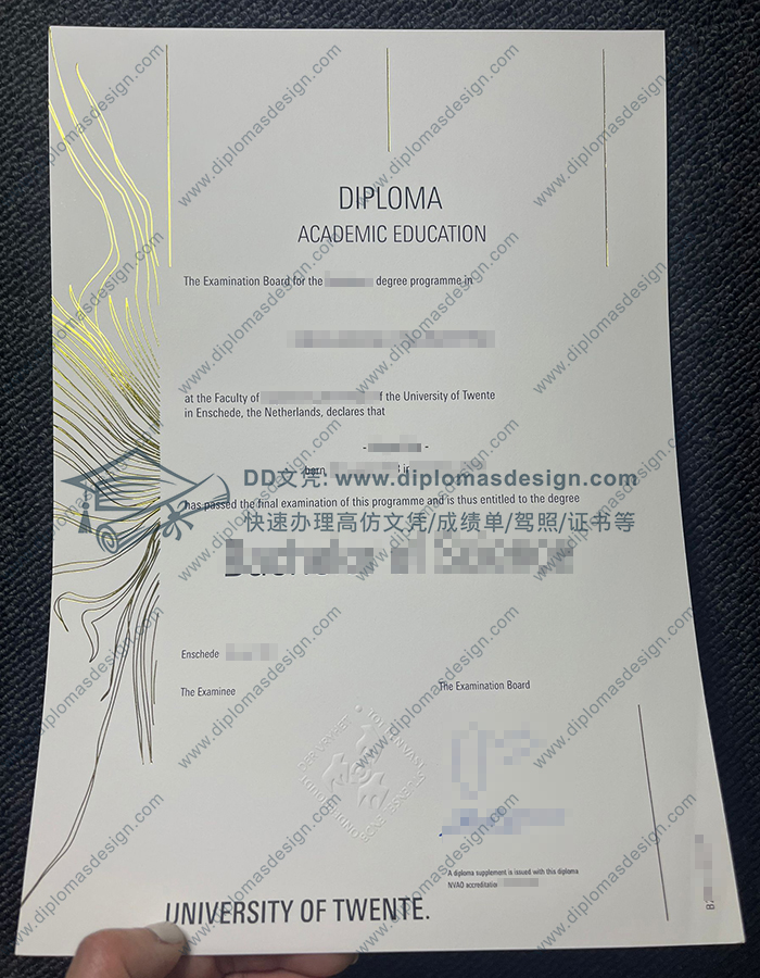 特文特大学文凭