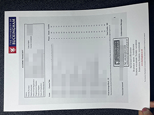 白金汉大学成绩单-1