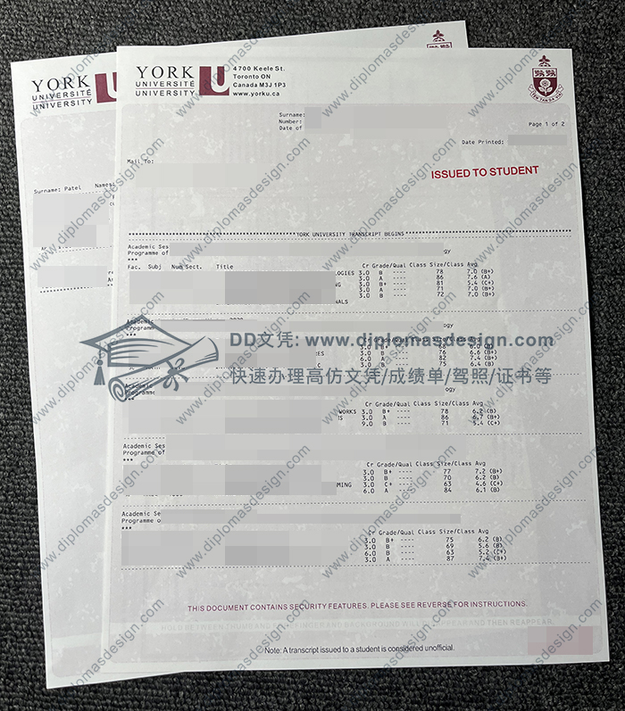 约克大学成绩单