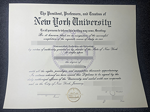 纽约大学毕业证-1