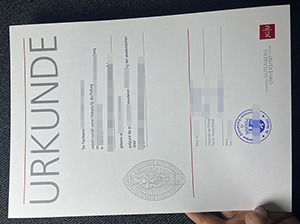 美因茨大学毕业证-1