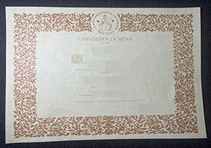 锡耶纳大学毕业证-1