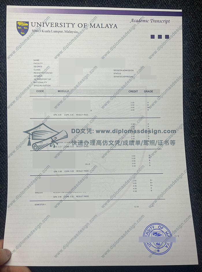 马来亚大学成绩单