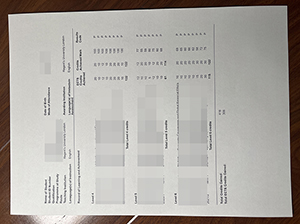 伦敦摄政大学成绩单-1