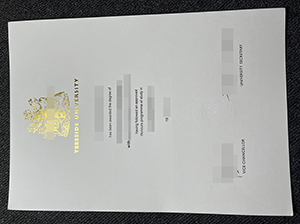 提赛德大学文凭-1