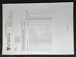 普利茅斯大学成绩单-1
