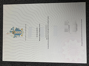 朴次茅斯大学毕业证-1