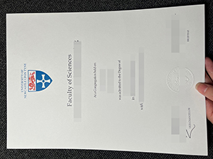 纽卡斯尔大学文凭-1