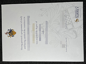 萨里大学毕业证-1