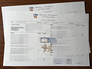 新加坡国立大学成绩单-1
