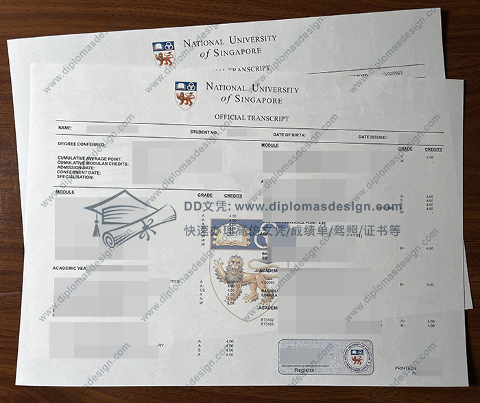 新加坡国立大学成绩单