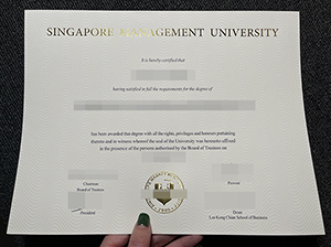 新加坡管理学院文凭-1