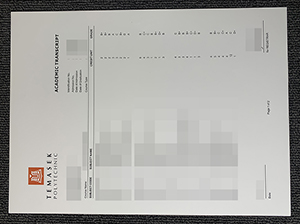 淡马锡理工学院成绩单-1