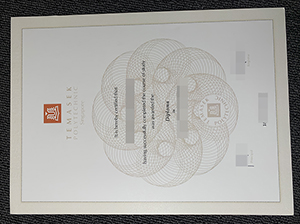 淡马锡理工学院毕业证-1