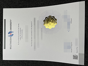多媒体大学毕业证-1