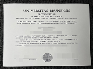 布朗大学毕业证-1