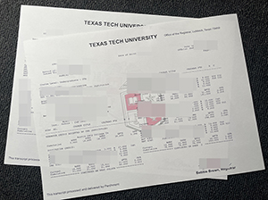 德克萨斯理工大学成绩单-1