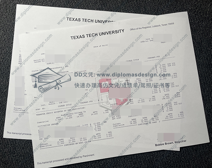 德克萨斯理工大学成绩单