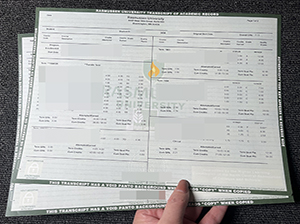 拉斯穆森大学成绩单-1