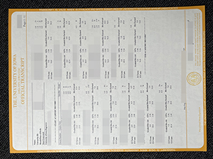 爱荷华大学成绩单-1