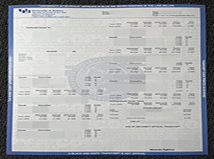 纽约州立大学布法罗分校成绩单-1