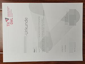 东威斯特法伦-利普应用技术大学文凭-1