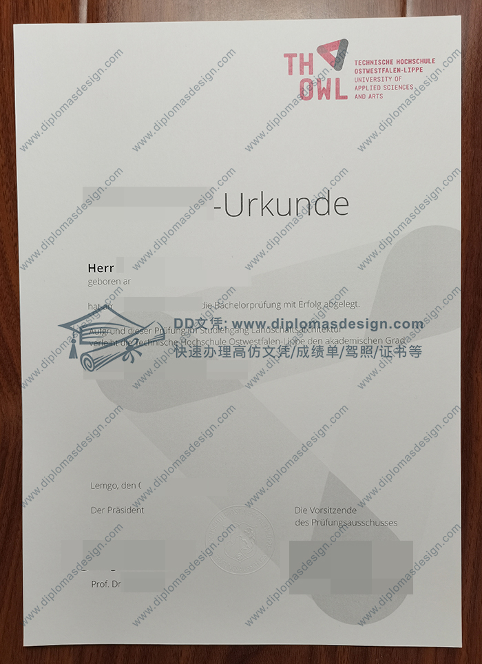 东威斯特法伦-利普应用技术大学文凭