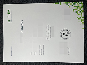 中部黑森工业大学毕业证-1