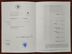 伍珀塔尔大学成绩单-1