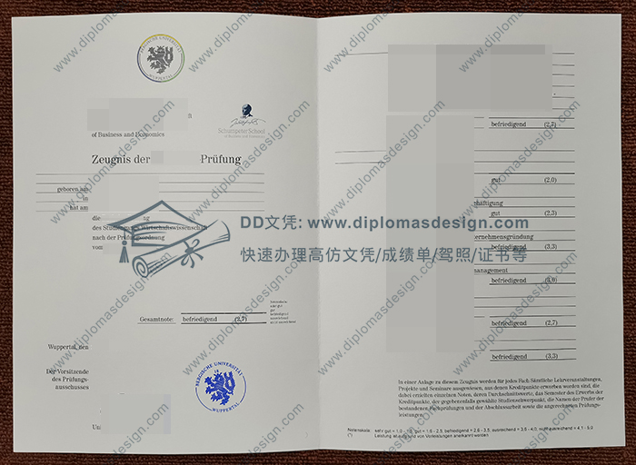 伍珀塔尔大学成绩单